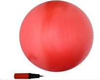 GYM Ball 55cm Coretec + HUSTILKA